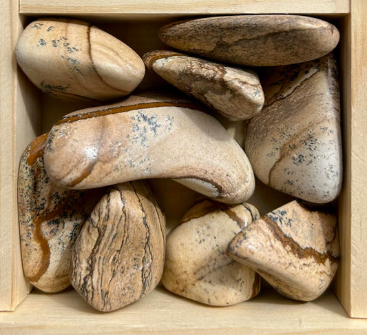 Picture Jasper Tumbles