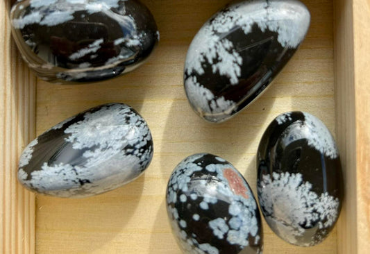 Snowflake Obsidian Tumbles