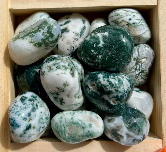 Moss Agate Tumbles