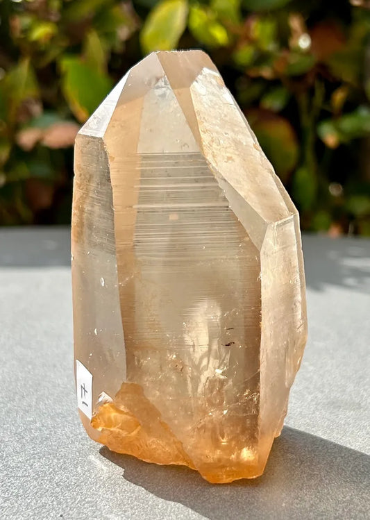 Smokey Lemurian Quartz Point