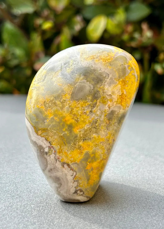 Bumblebee Jasper Freeform