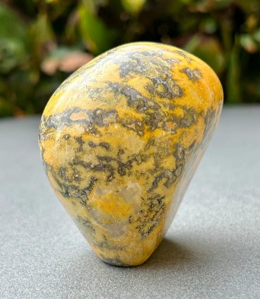 Bumblebee Jasper Freeform