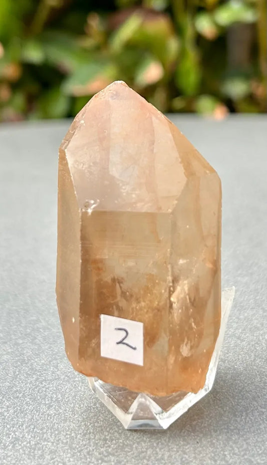 Smokey Lemurian Quartz Point
