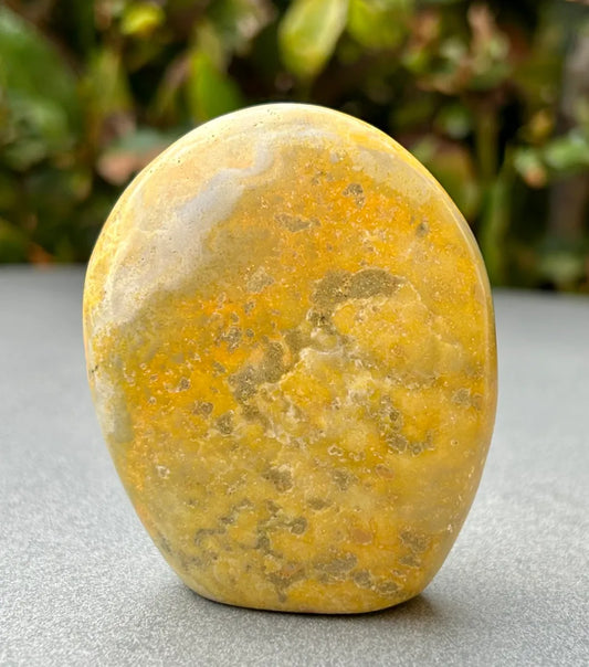 Bumblebee Jasper Freeform