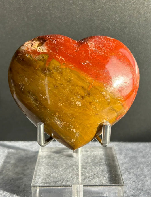 Petrified Wood Heart