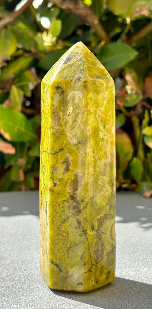 Green Opal Tower (8)