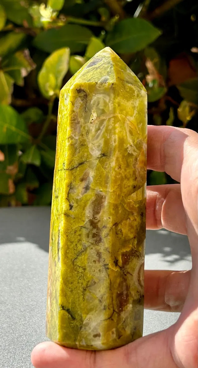 Green Opal Tower (8)