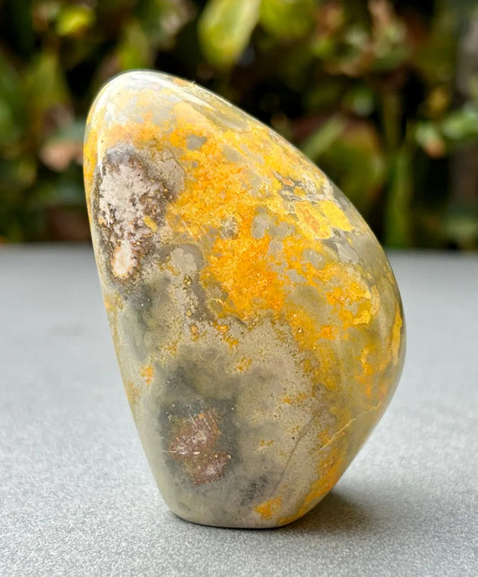 Bumblebee Jasper Freeform