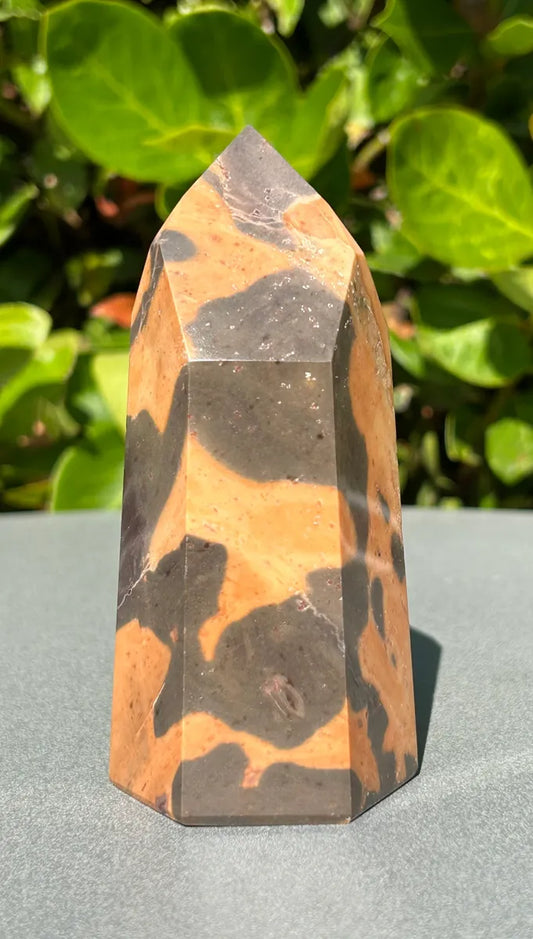 Leopardskin Jasper Tower