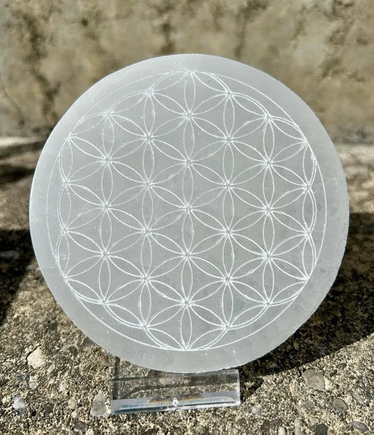 Selenite Flower of Life Disc - White
